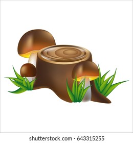 Stump and three edible mushrooms