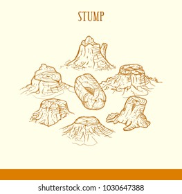 Tree Stump Drawing Stock Vectors, Images & Vector Art | Shutterstock