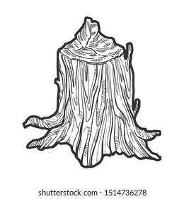 Stump of tree made by beaver animal sketch engraving vector illustration. Tee shirt apparel print design. Scratch board style imitation. Black and white hand drawn image.