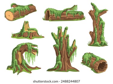 Stumps in moss. Fluffy plants on tree trunks. Wooden surfaces covered with green lichen. Creeping micro growth. Mossy branches. Overgrown wood. Splendid vector landscape