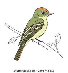 Stunning Acadian Flycatcher Depiction. Concept of Bird Design.