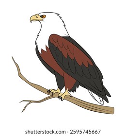 Stunning African Fish Eagle Depiction. Concept of Bird Design.