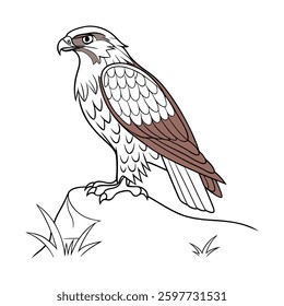 Stunning Ainu Owl Bird Illustration. Concept of Bird Design.
