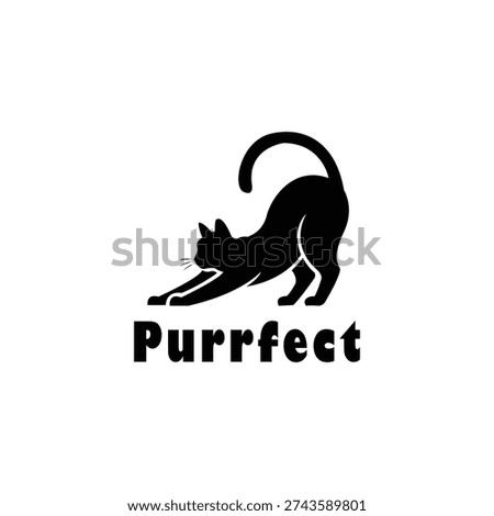Stunning black cat stretching in playful purrfect pose