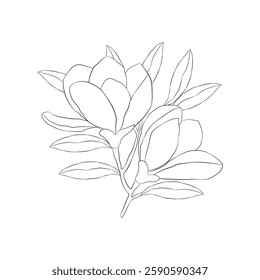 A stunning black and white magnolia flower line art illustration. Magnolia flower outline for coloring book. blooming magnolia drawing and black and white floral design is perfect for logo, t-shirt.