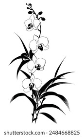 Stunning black and white orchid branch silhouette, ideal for contemporary designs as logos, and invitations