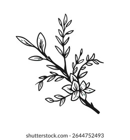 A stunning black and white sketch of intricate flowers and lovely leaves, ideal for creative projects
