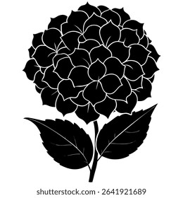 A stunning black and white vector illustration showcases the delicate beauty of a hydrangea flower, complete with intricately detailed leaves. 