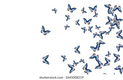 Stunning blue butterflies with orange accents on a white background. A perfect choice for nature inspired designs, invitations, wallpapers, and decor. High-quality, vibrant, and eye catching artwork.