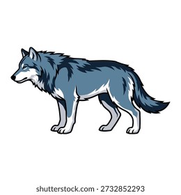 Stunning blue wolf illustration standing alone