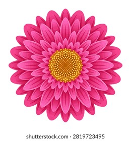A stunning close up of a bright pink gerbera daisy featuring an intricate yellow stamen center against a clean white background. This high resolution floral image showcases soft delicate petals and vibrant colors ideal for artistic design projects