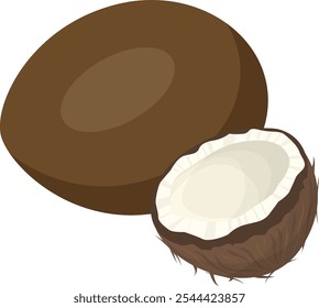 Stunning Coconut Fruit Vector Graphics for Professional Use