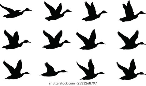 Stunning Collection of Bird Silhouettes Gracefully Flying Vector Set