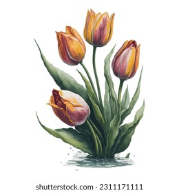 A stunning collection of four vibrant watercolor tulip flowers. Perfect for adding a touch of natural beauty to any design project.