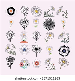 A stunning daisy flower vector set featuring delicate and detailed floral designs. Perfect for digital art, prints, patterns, and creative projects. Fully editable and versatile for any use.