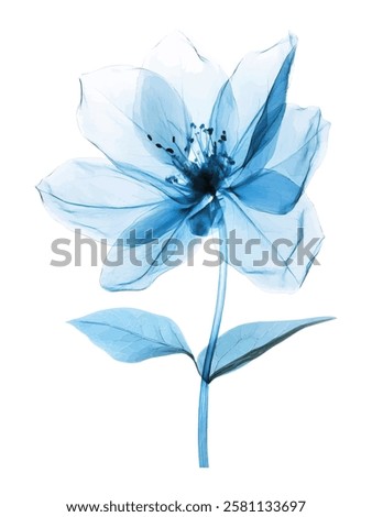A stunning digital illustration of a translucent blue flower created in an X-ray style, showcasing intricate details, soft textures, and an ethereal botanical aesthetic