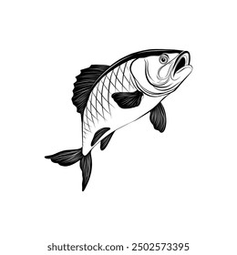 Stunning European Carp Fish Jumping Out of Water: High-Quality Vector Illustration