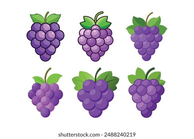 Stunning Grape Vector Art for Illustrators