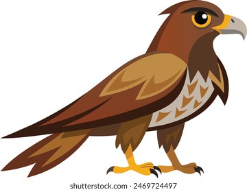 Stunning hawk vector illustration featuring intricate artwork of a majestic bird in flight, perfect for nature enthusiasts and wildlife design projects