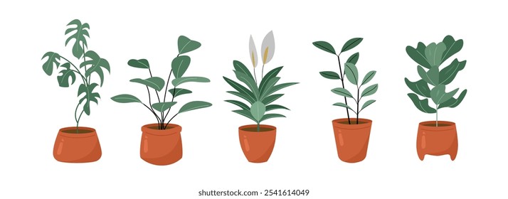 Stunning Illustrations of Plants and Flowers. Set of plants. Plants Collection. Plant in pot collection. Plant Illustration for Interior Design Projects. Tropical Plants in Botanical Illustration.