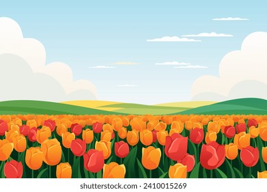 Stunning landscape with a field of tulips against the backdrop of green meadows. Beautiful multi-colored tulips. Vector illustration for design or print.