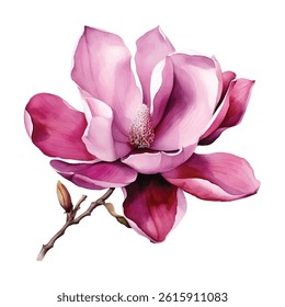 Stunning magnolia flowers on delicate branches. Soft pink petals exude elegance and charm, perfect for floral designs, prints, and home decor. A graceful botanical illustration full of beauty.
