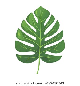 Stunning Monstera Leaf Illustration Clipart Tropical
