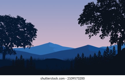 Stunning mountain view with lush pine trees at sunrise