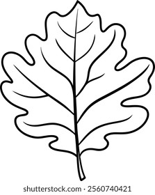 Stunning Oak Leaf Design for Coloring Vector Illustration