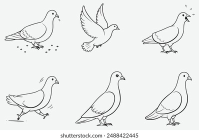 Stunning Pigeon Line Art Set Vector: Intricate Designs for Creative Projects