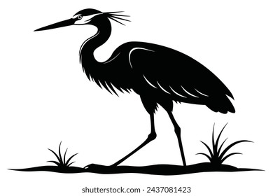 A stunning portrait of a heron depicted in vector illustration artwork