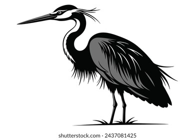 A stunning portrait of a heron depicted in vector illustration artwork