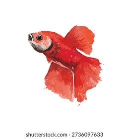 Impresionante ilustración de pez Betta rojo con aletas que fluyen, aislado en blanco. Perfecto para gráficos de tiendas de mascotas, diseños de acuarios o temas acuáticos vibrantes.