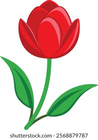 Stunning Red Tulip Vector Illustration Graphics