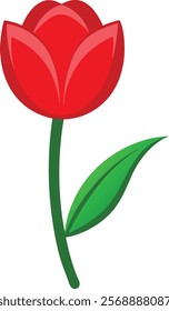 Stunning Red Tulip Vector Illustration for Websites