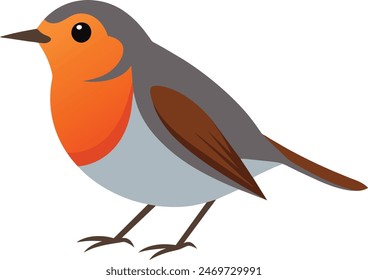 Stunning robin bird vector art for illustration, capturing its beauty and grace.