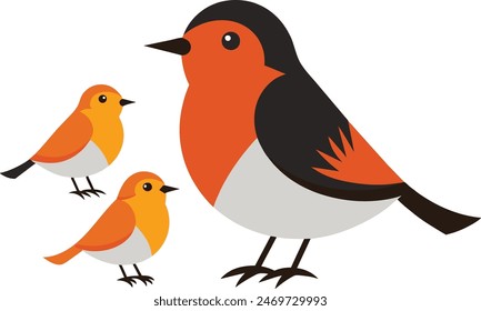 Stunning robin bird vector art for illustration, capturing its beauty and grace.