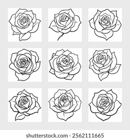 Stunning Rose Artworks Vector Set.