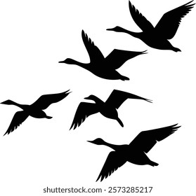 Stunning Silhouette of Geese in Flight
