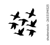 Stunning Silhouette Vector of a Flock of Flying Ducks High Quality Wildlife Illustration