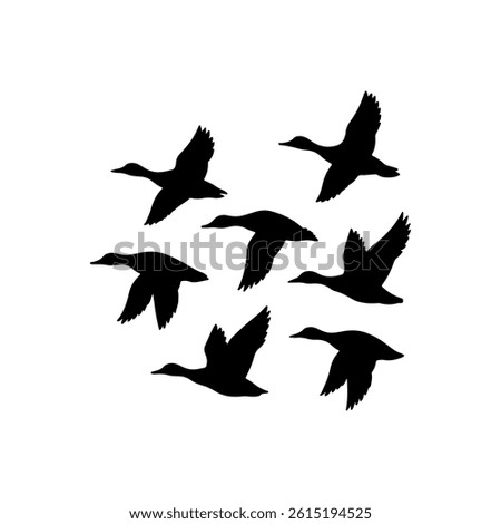 Stunning Silhouette Vector of a Flock of Flying Ducks High Quality Wildlife Illustration