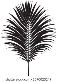 A stunning single palm leaf silhouette, symbolizing tropical beauty and serenity. This elegant design brings a refreshing, nature-inspired vibe.