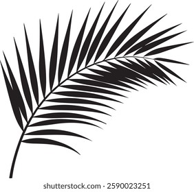 A stunning single palm leaf silhouette, symbolizing tropical beauty and serenity. This elegant design brings a refreshing, nature-inspired vibe.