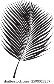 A stunning single palm leaf silhouette, symbolizing tropical beauty and serenity. This elegant design brings a refreshing, nature-inspired vibe.