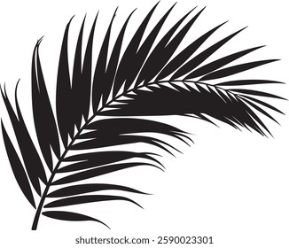 A stunning single palm leaf silhouette, symbolizing tropical beauty and serenity. This elegant design brings a refreshing, nature-inspired vibe.