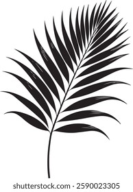 A stunning single palm leaf silhouette, symbolizing tropical beauty and serenity. This elegant design brings a refreshing, nature-inspired vibe.