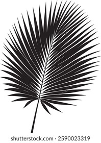 A stunning single palm leaf silhouette, symbolizing tropical beauty and serenity. This elegant design brings a refreshing, nature-inspired vibe.