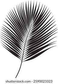 A stunning single palm leaf silhouette, symbolizing tropical beauty and serenity. This elegant design brings a refreshing, nature-inspired vibe.