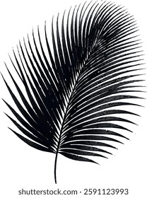 A stunning single palm leaf silhouette, symbolizing tropical beauty and serenity. This elegant design brings a refreshing, nature-inspired vibe.