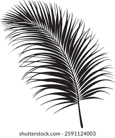 A stunning single palm leaf silhouette, symbolizing tropical beauty and serenity. This elegant design brings a refreshing, nature-inspired vibe.